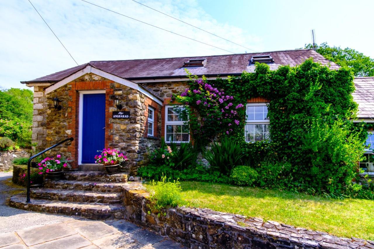 Lakeside Cottage Carmarthen Ngoại thất bức ảnh
