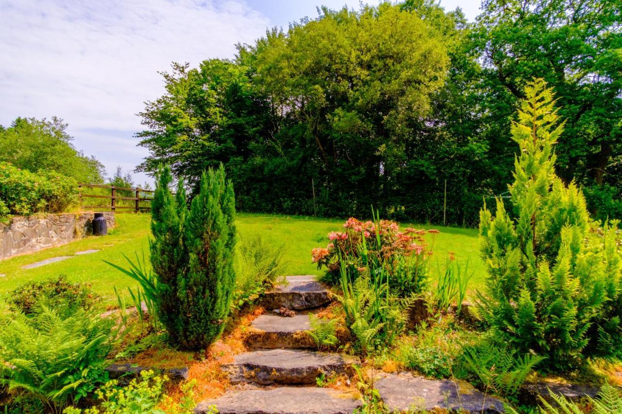 Lakeside Cottage Carmarthen Ngoại thất bức ảnh