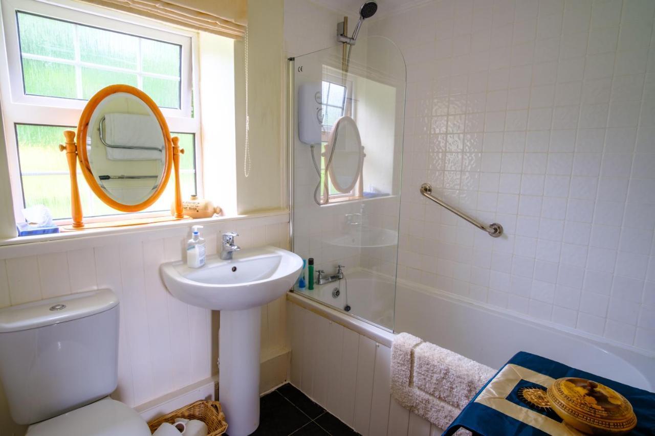 Lakeside Cottage Carmarthen Ngoại thất bức ảnh