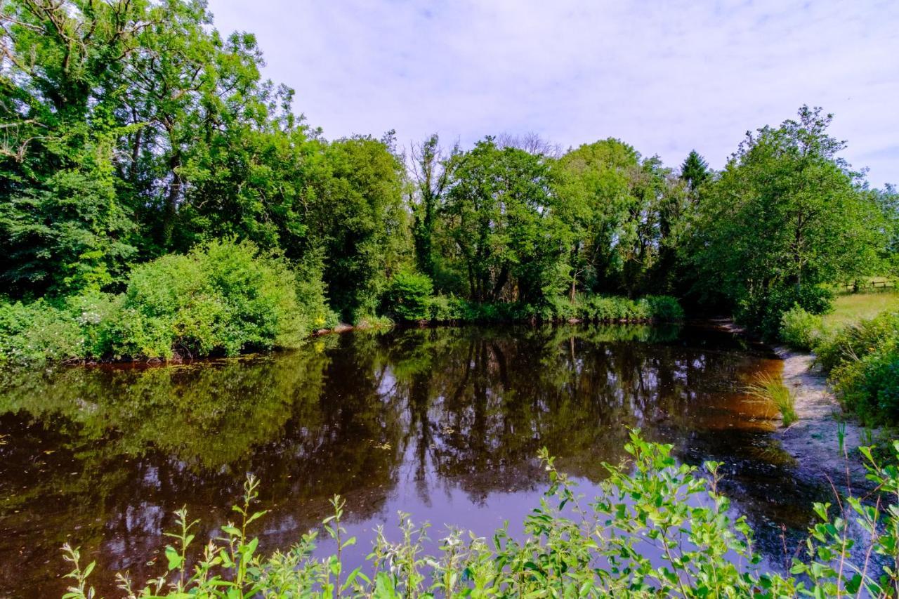 Lakeside Cottage Carmarthen Ngoại thất bức ảnh